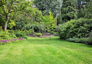 Optimiser l'expérience du jardin à Sévérac-le-Château